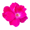 Design ohne Titel 3