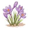 Easter Eostre Pagan Spring