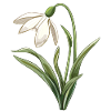 Easter Eostre Pagan Spring