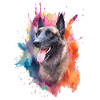 Malinois Dog Head