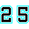 25 Symbole numérique