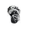 Daytrader Shirt mit Skull