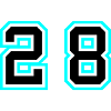 28 number symbol