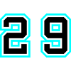 29 Number symbol
