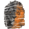 lion face