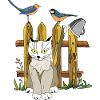 Katze