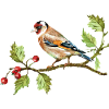 Bunter Vogel