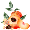 Pfirsichhälfte,Pfirsiche,Pfirsich,-blüten und keil