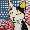 Cat, Cat Motif