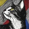 Chat, Motif De Chat