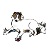 Blumen-Hund