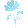 Botanical Botany Plants