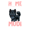 Home - Mudi