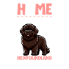 Home - Newfoundland