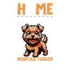 Accueil - Norfolk Terrier