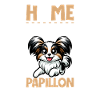 Home - Continental Miniature Spaniel