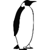 Penguin2