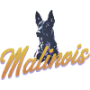 Belgian Shepherd Dog Artwork