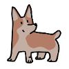 Corgi