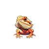 bearded dragon whisperer, reptile bearded