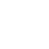 Party