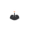Ostrich Quote