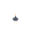 Citation autruche