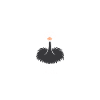 Ostrich Quote