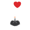Ostrich Quote