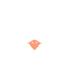 Citation autruche