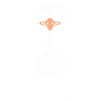 ostrich