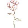ROSE einfarbige Linie