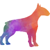 BULLTERRIER bunt