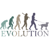 DOG EVOLUTION