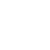 voiture télécommandée