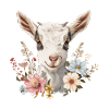 Cadeau floral de chèvre