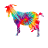 Chèvre Tie Dye cadeau