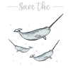 Narwal Einhornwal