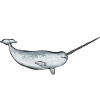 Narwal Einhornwal