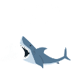 Cours de Surf accéléré