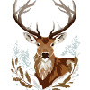 Deer