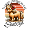 Shetland Pony Horse Rider