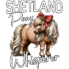 Shetland Pony Whisperer