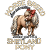 Shetland Pony
