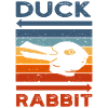 Wittgensteins Rabbit Duck Illusion