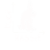 Wittgenstein lapin canard illusion