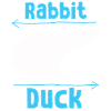 Wittgensteins Rabbit Duck Illusion