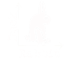 Wittgensteins Rabbit Duck Illusion