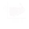 Wittgensteins Rabbit Duck Illusion