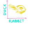 Wittgensteins Rabbit Duck Illusion